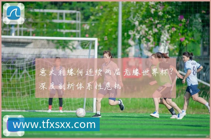 意大利缘何连续两届无缘世界杯？深度剖析体系性危机