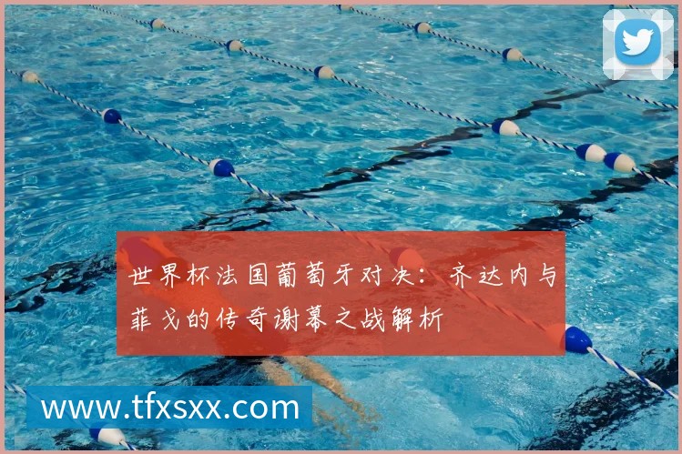 世界杯法国葡萄牙对决：齐达内与菲戈的传奇谢幕之战解析
