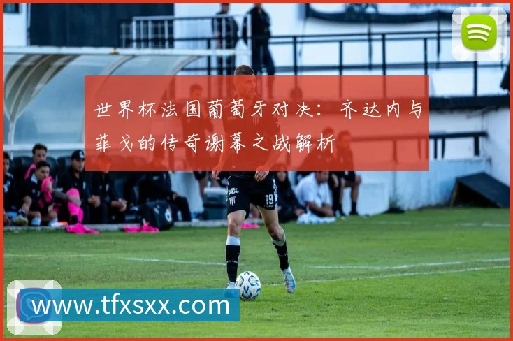 世界杯法国葡萄牙对决：齐达内与菲戈的传奇谢幕之战解析