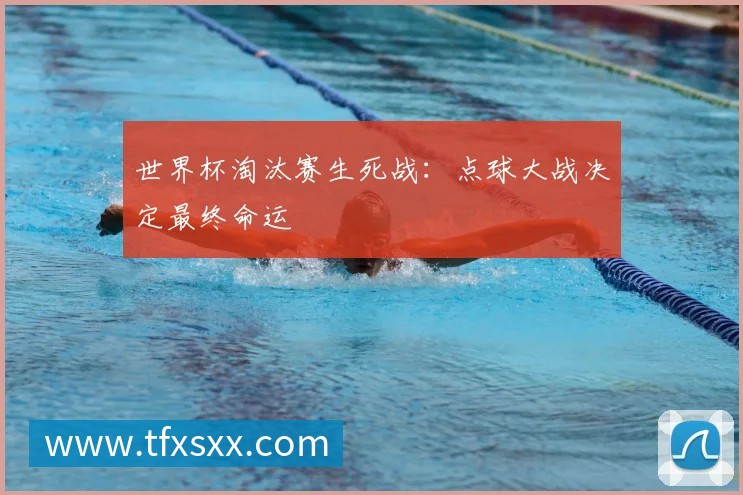 世界杯淘汰赛生死战:点球大战决定最终命运