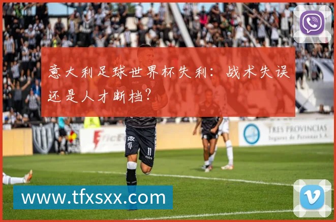 意大利足球世界杯失利:战术失误还是人才断档?